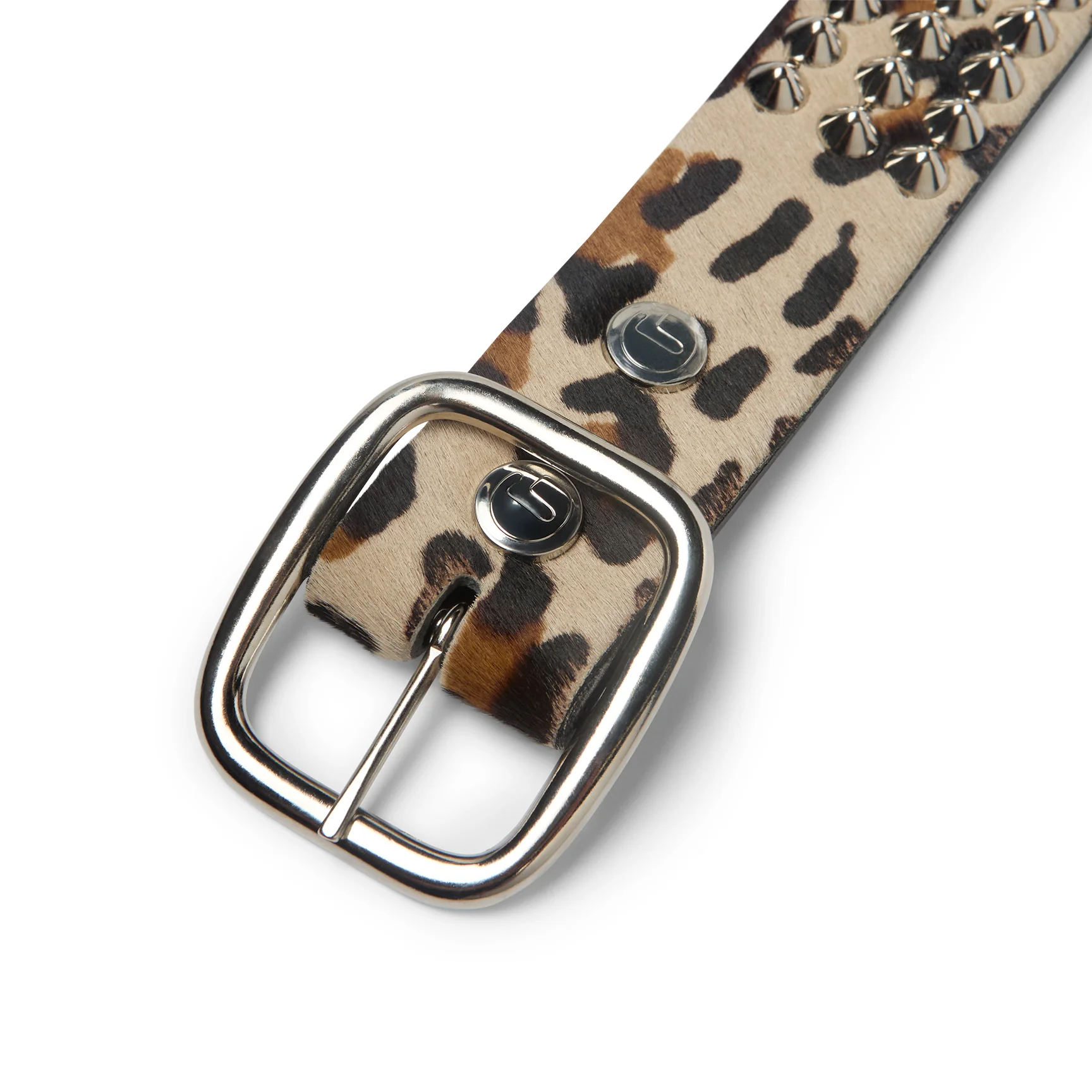 CHEETAH STUDDED BELT - Image 4